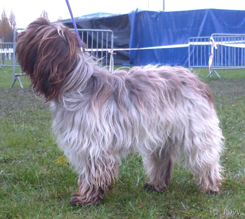 Goyave de la Vallee du Doux 